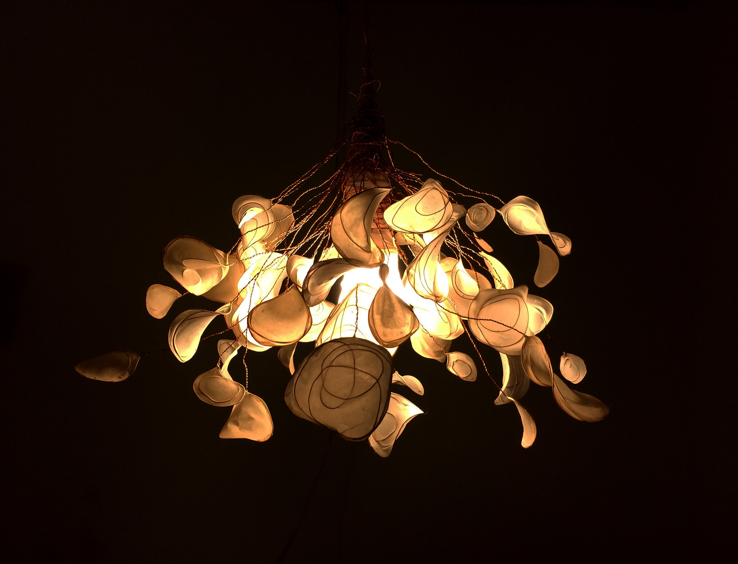 Chandelier - Lighting Fixture by Emily ! Duong