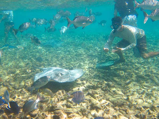 Snorkel with Island Divers Belize